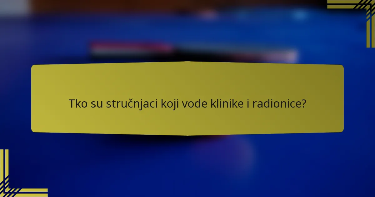 Tko su stručnjaci koji vode klinike i radionice?