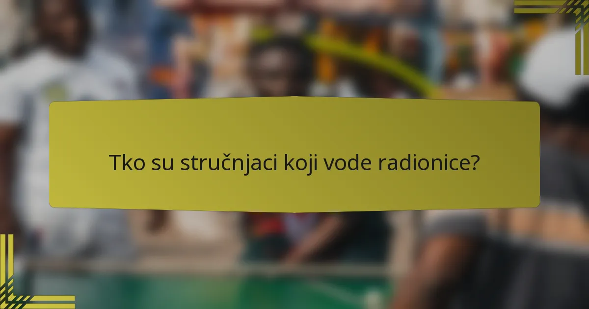 Tko su stručnjaci koji vode radionice?